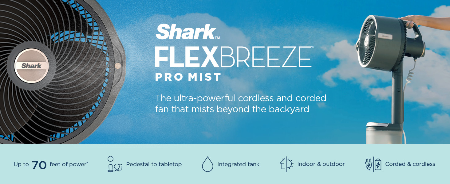 Shark photo 1